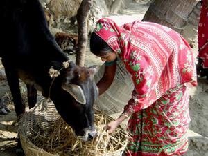 Help Secure Food for 200 Families in Bangladesh