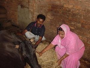 Help Secure Food for 200 Families in Bangladesh