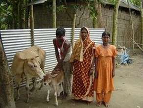SATU member with cow and calf