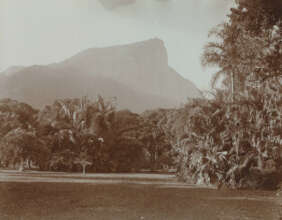 Garden of the palms Rio de Janeiro