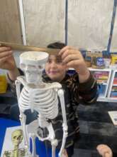 Student measuring the diameter of a skull