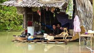 Just one of the homes lost