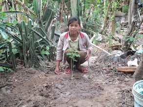 A villager with her new Moringa tree