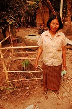 A fence to protect the tree