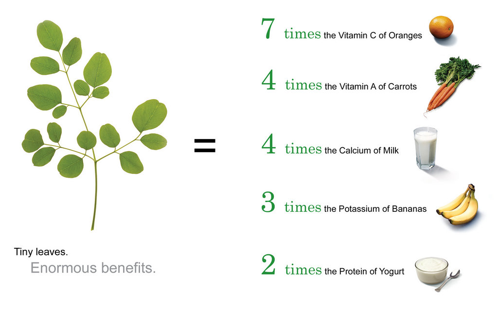 A Sustainable Solution To Malnutrition In Cambodia