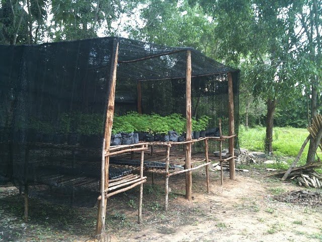 A Sustainable Solution To Malnutrition In Cambodia