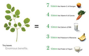 The nutritional content of Moringa leaves