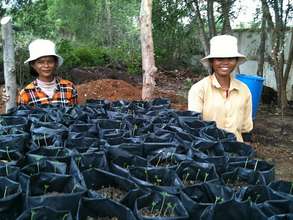 Nun & Trop with our Miracle Trees