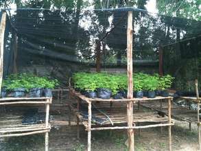 Our nursery