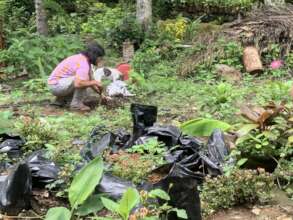 Gardening with water access