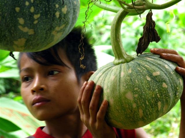 Help Ethnic Cambodians Conserve 300k ha of Forest