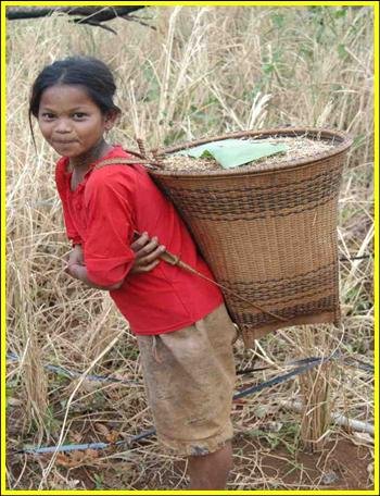 Help Ethnic Cambodians Conserve 300k ha of Forest