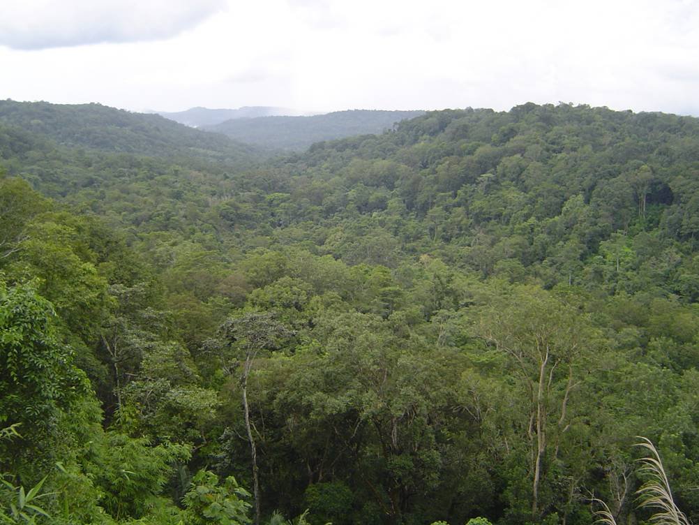 Help Ethnic Cambodians Conserve 300k ha of Forest