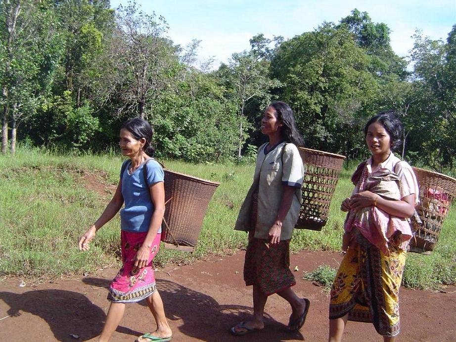 Help Ethnic Cambodians Conserve 300k ha of Forest