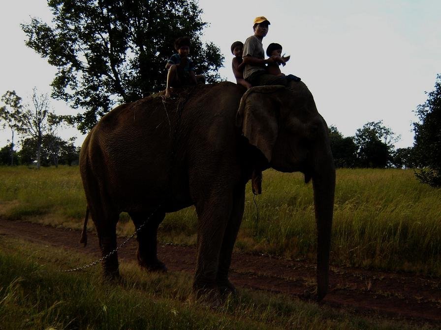 Help Ethnic Cambodians Conserve 300k ha of Forest