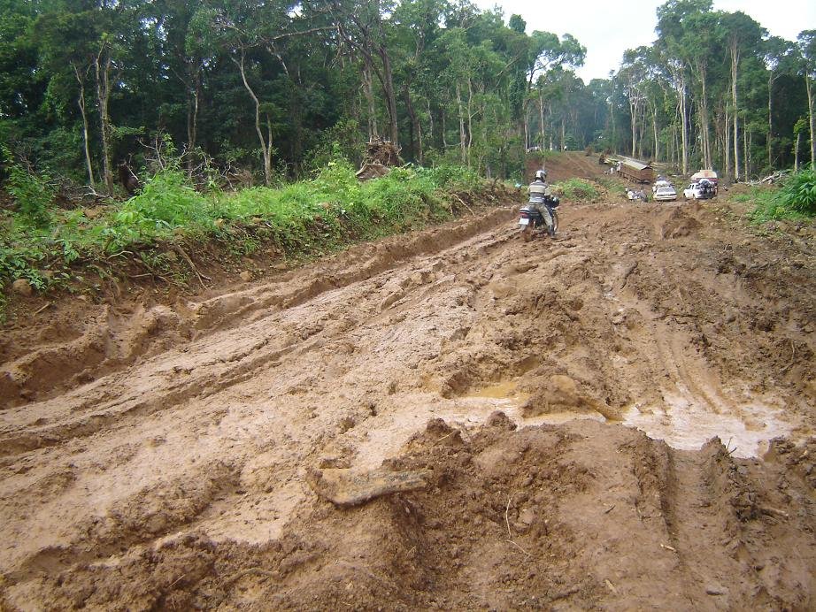 Help Ethnic Cambodians Conserve 300k ha of Forest