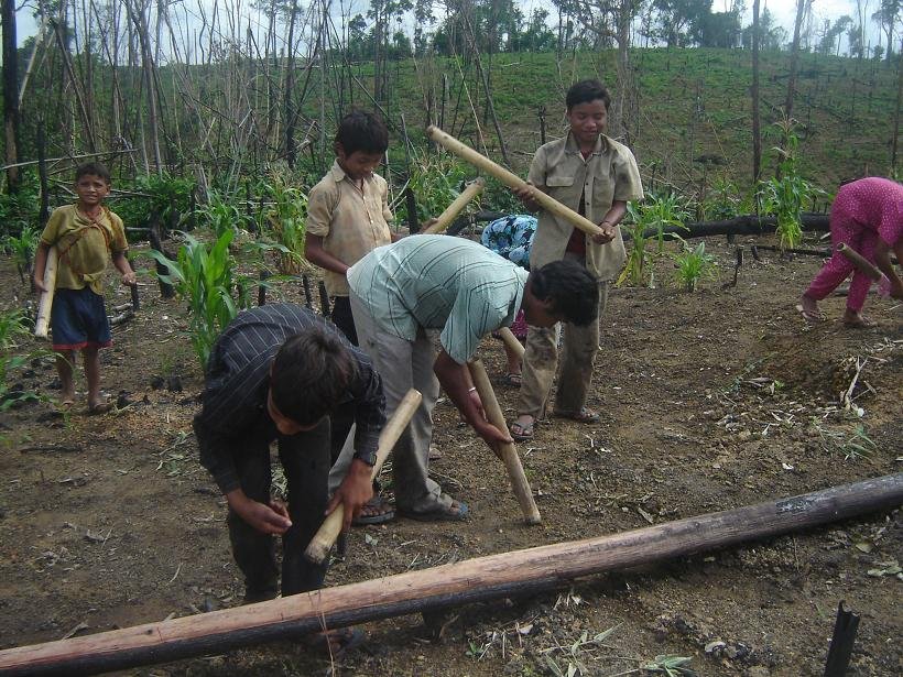 Help Ethnic Cambodians Conserve 300k ha of Forest
