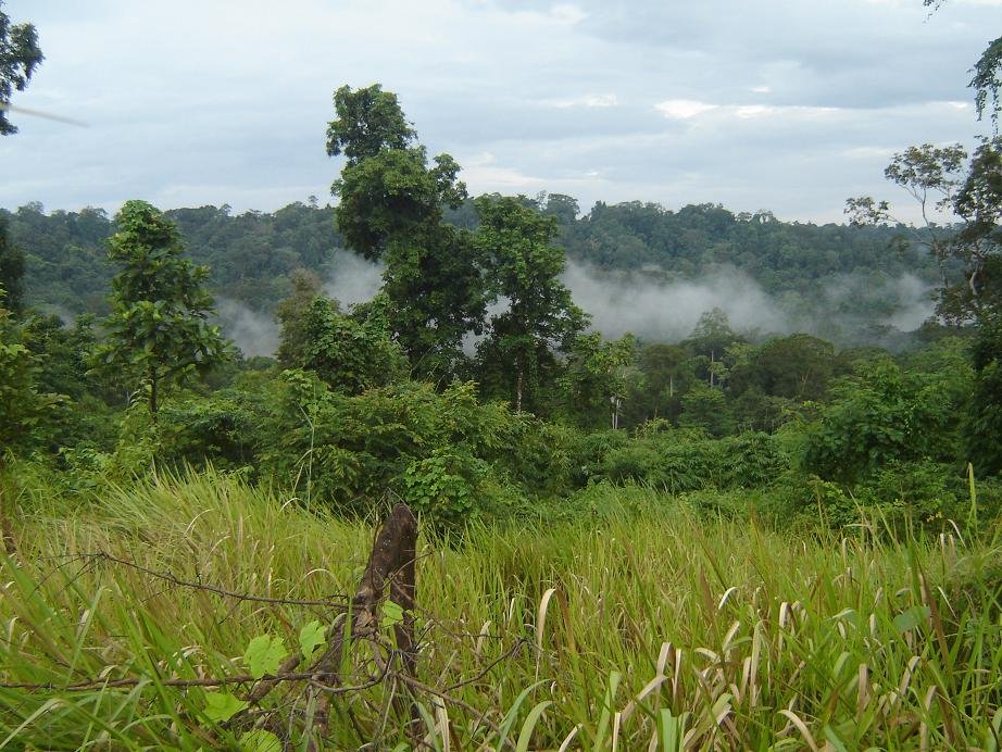 Help Ethnic Cambodians Conserve 300k ha of Forest