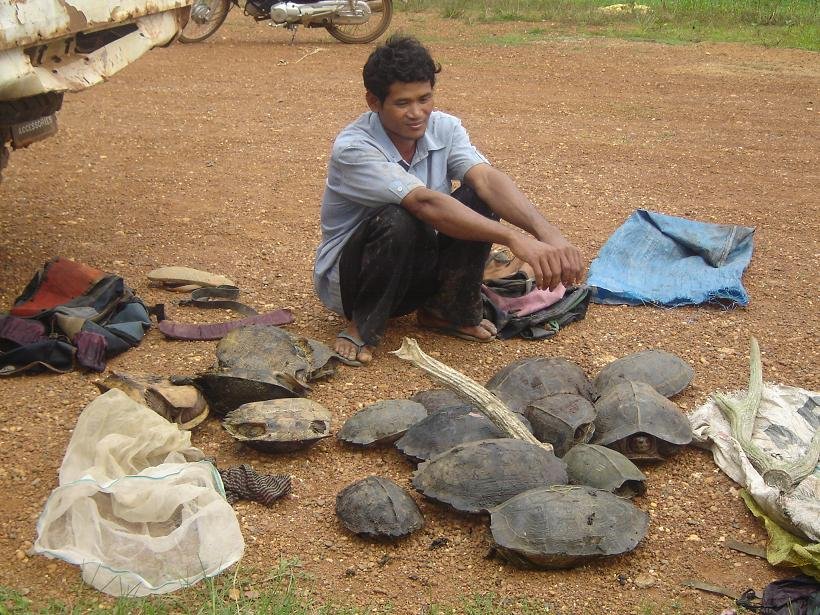 Help Ethnic Cambodians Conserve 300k ha of Forest