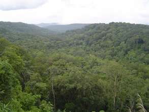 Mondulkiri project area, forest viewing