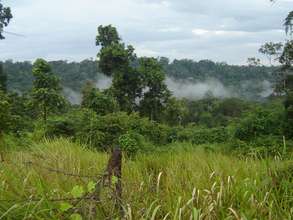 Viewing at project site during Wetseason