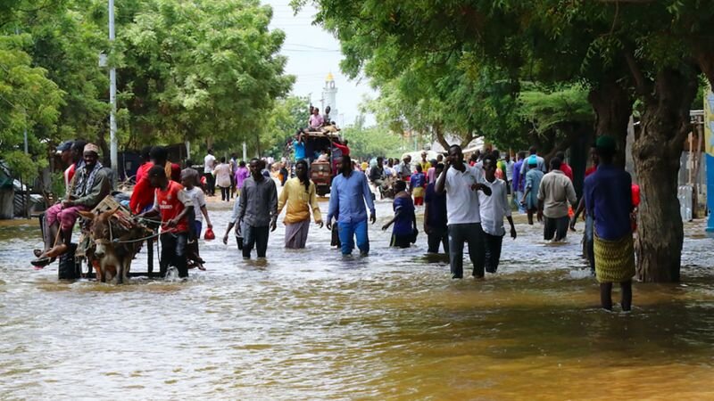 Hopes for rain-soaked Somalia