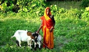 Self-Employ 100 Women in Organic Farming in India