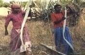 Self-Employ 100 Women in Organic Farming in India