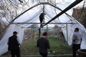Finishing the construction of the greenhouse