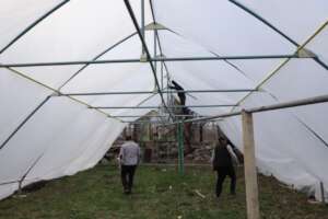 Finishing the construction of the greenhouse