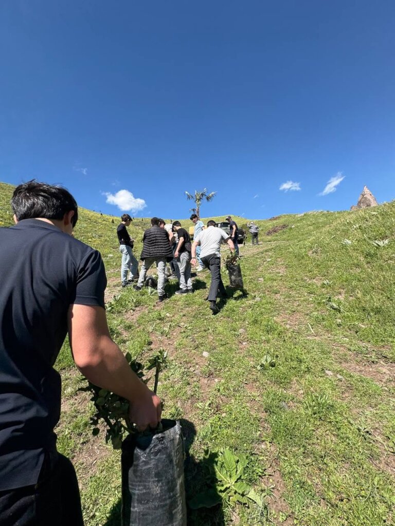 Planting roses at the Hill of Roses
