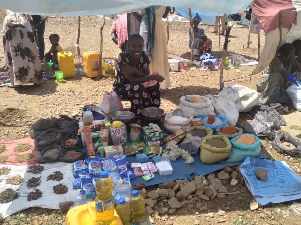 Economic Empowerment of 100 female headed families