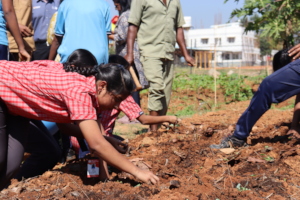 Gardening