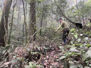 Destroying animal traps is one of their main dutie