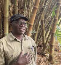 MR BIRUNGI MASESANE BAMBOO VILLAGE