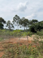 OUR PLOT WITH FANCE