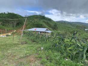 Support to home building