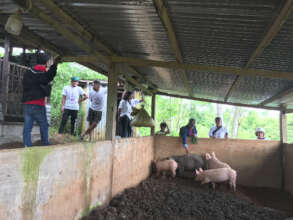 Conduct of training