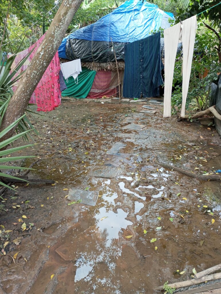 Urgent Cyclone Relief Andhra Pradesh-Michaung 2023