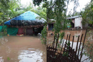 Urgent Cyclone Relief Andhra Pradesh-Michaung 2023