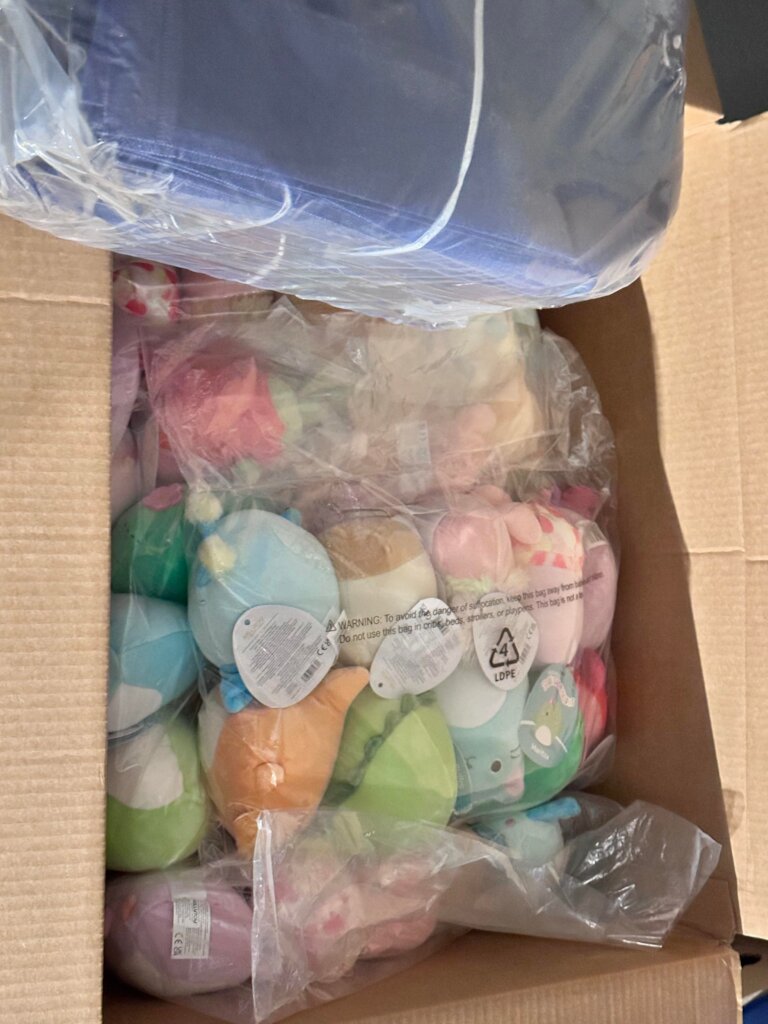 Hawaii Fire Survivors Relief and Recovery