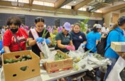 Hawaii Fire Survivors Relief and Recovery