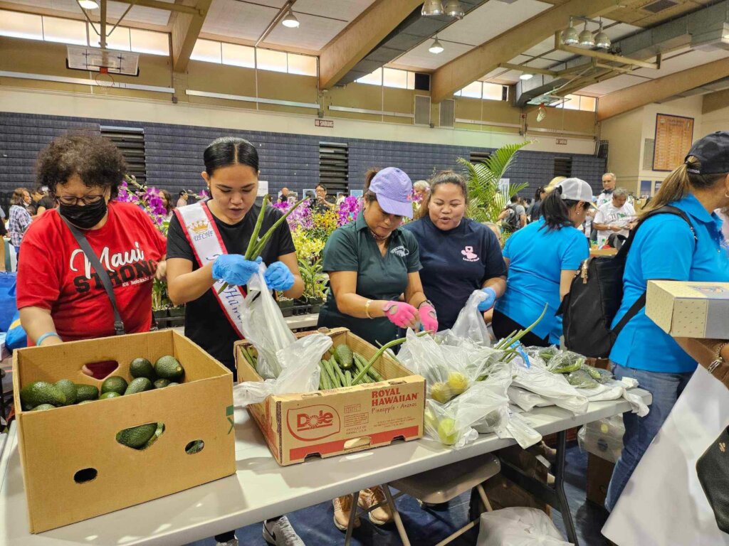 Hawaii Fire Survivors Relief and Recovery