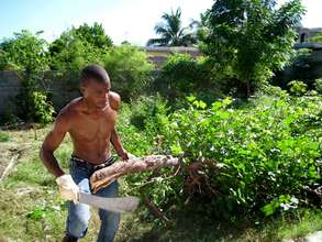 Working hard to clear and clean the land