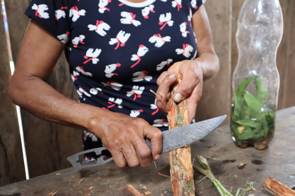 Awajun Women's Ancestral Medicine Revival
