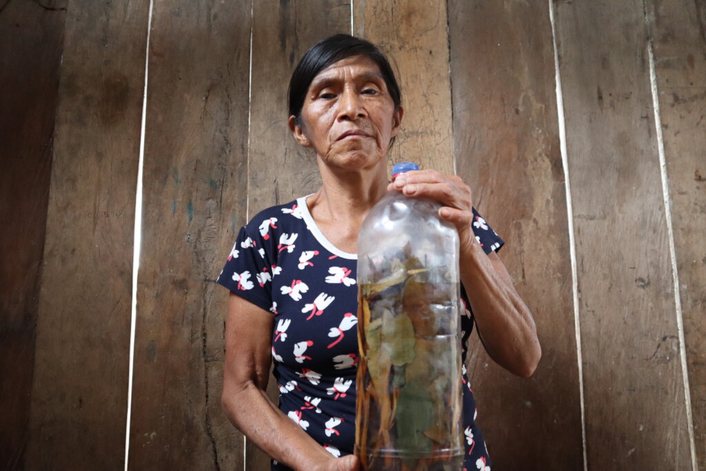 Awajun Women's Ancestral Medicine Revival