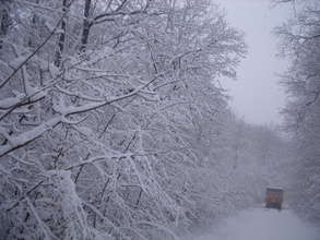 Eastern Europe Winter