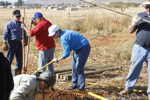 Gardening in South Africa