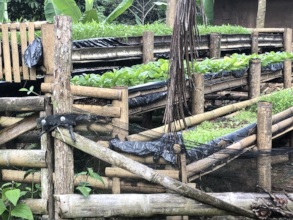 Small-scale gardens