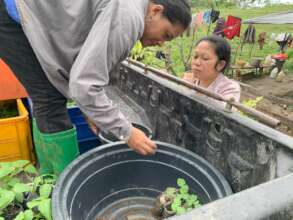 Support to farmers